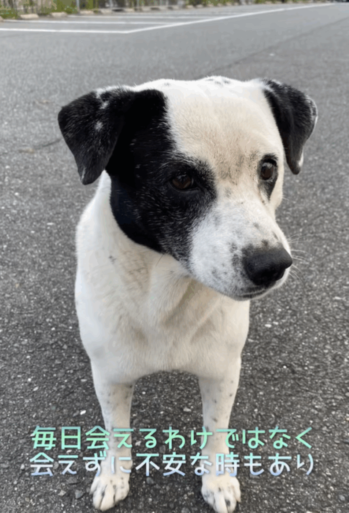 ゆめくん（＠donmama25さんより提供）