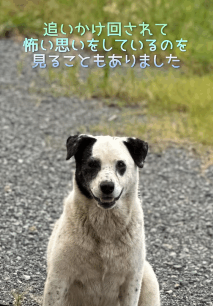 ゆめくんの笑顔（＠donmama25さんより提供）