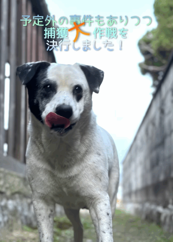 ついにお迎えへ（＠donmama25さんより提供）