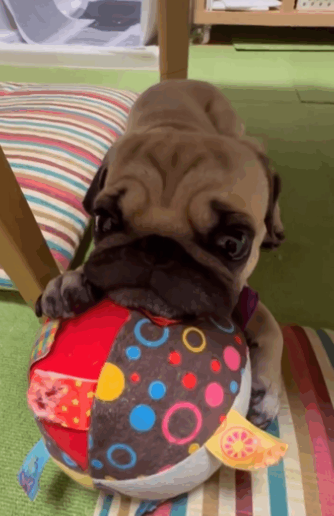 【実際の写真】帰宅後目にした光景