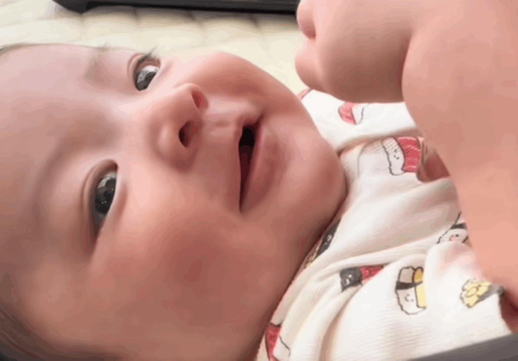 【実際の写真】1年後の様子