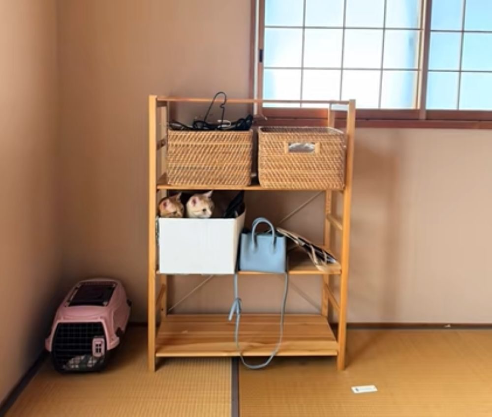 【実際の写真5枚】違和感の正体