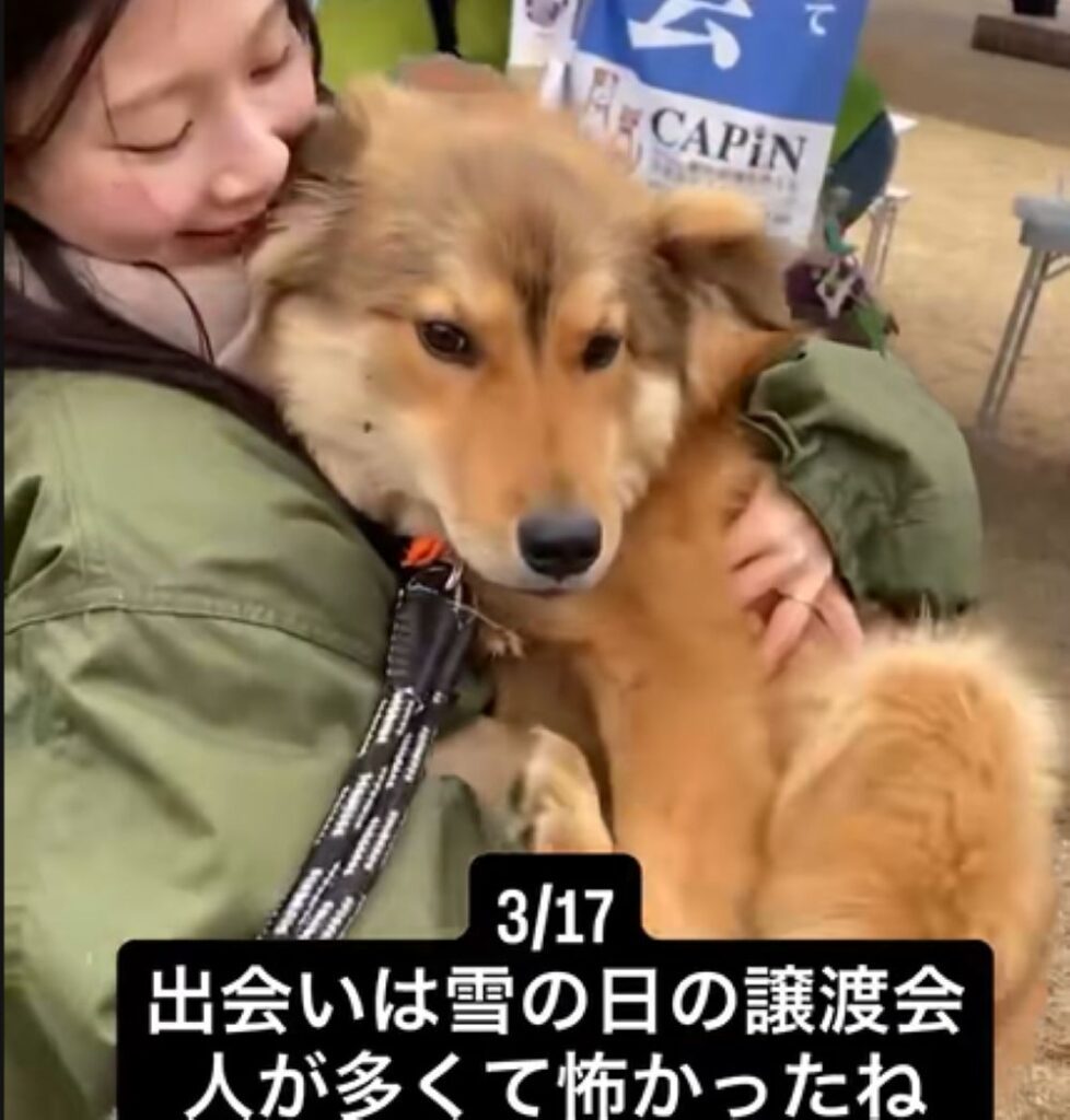 【実際の写真5枚】　現在の様子