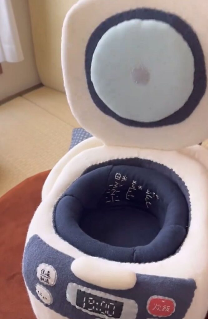 開けてみると…（＠torimochiuzura_nuiさんより提供）