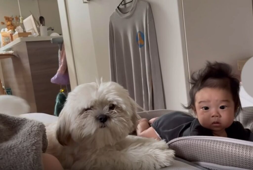 朝起きたときの風景（＠hina_665_さんより提供）