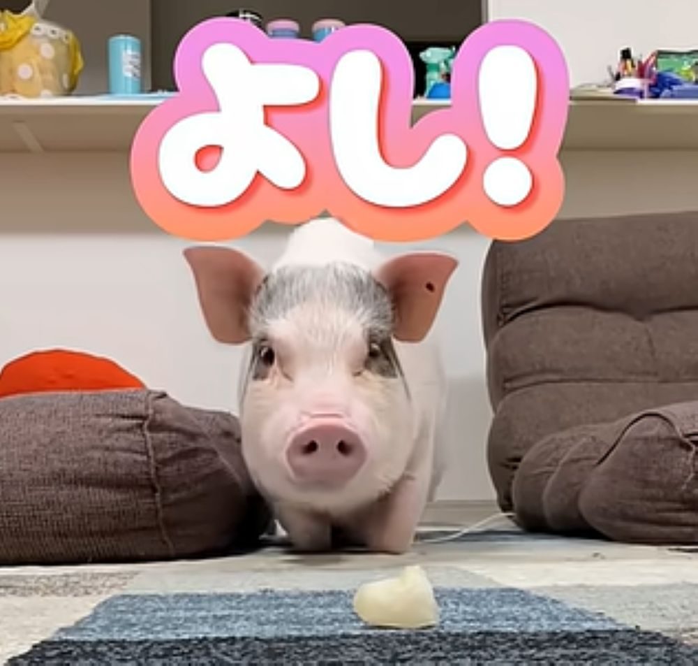 【実際の写真】5秒後の様子