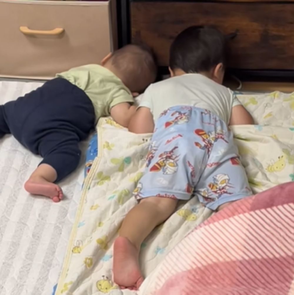 【実際の写真】まさかの光景