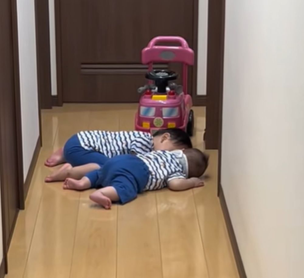 普段の様子③（＠user9ulx500d1tさんより提供）