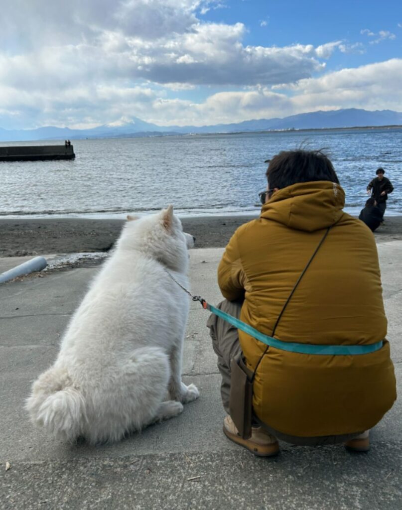 【実際の写真】写っていたモノ