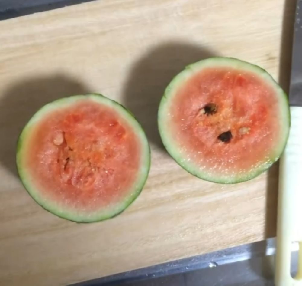 切ってみると…（＠slow_mochimochiさんより提供）