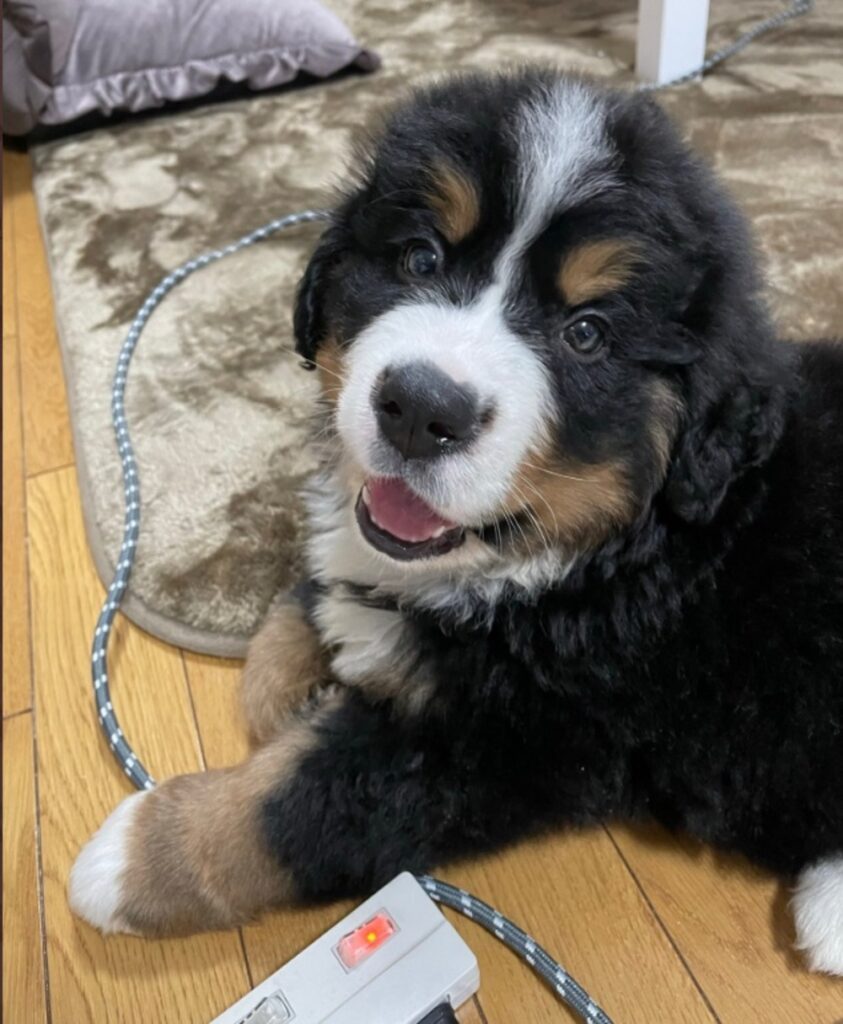 【実際の写真5枚】現在の様子