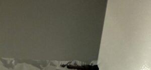 面倒な油汚れ掃除→スグできるまさかの”対策”に…「目からウロコ」「簡単に綺麗に」「楽で感激」