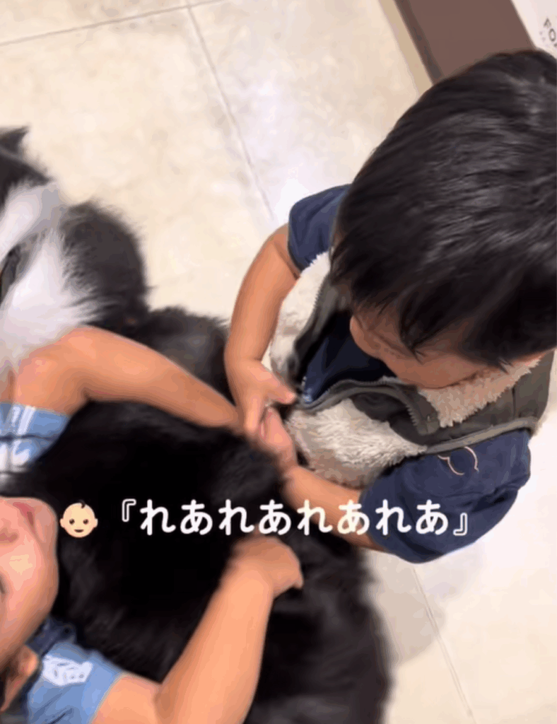 レアちゃんと再会した子どもたち（＠lleeaa_0327さんより提供）