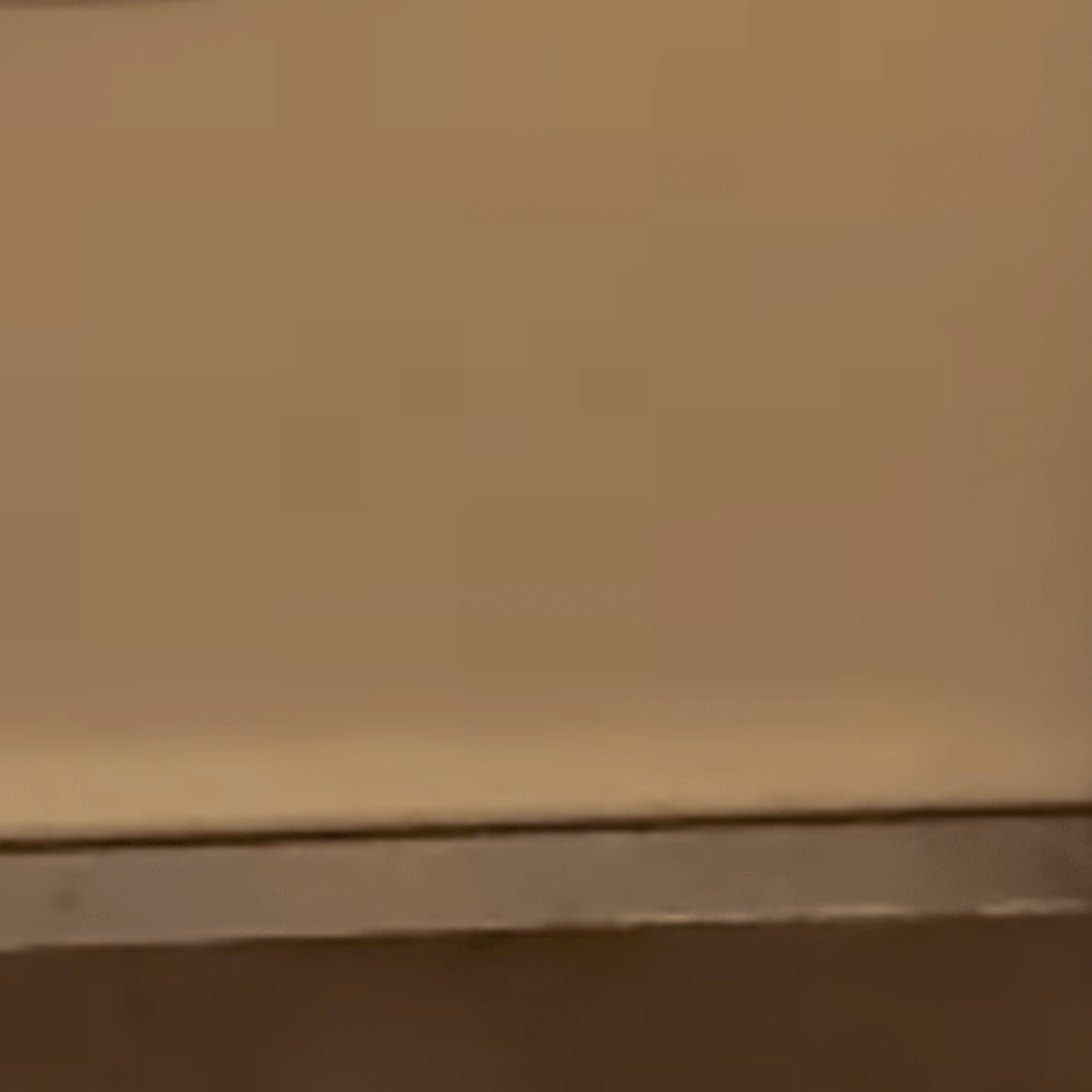 いないと思ったら…（@mirin_tsunaさんより提供）