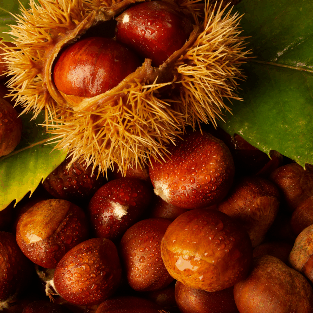 【実際の写真】完成した物