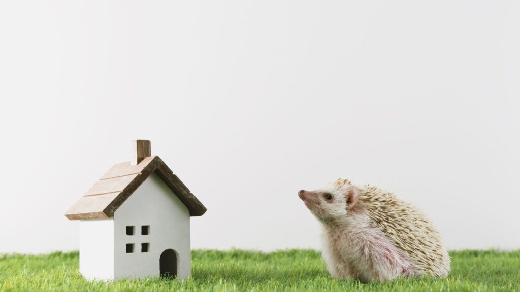 【写真3枚】祖父母が本気を出した結果