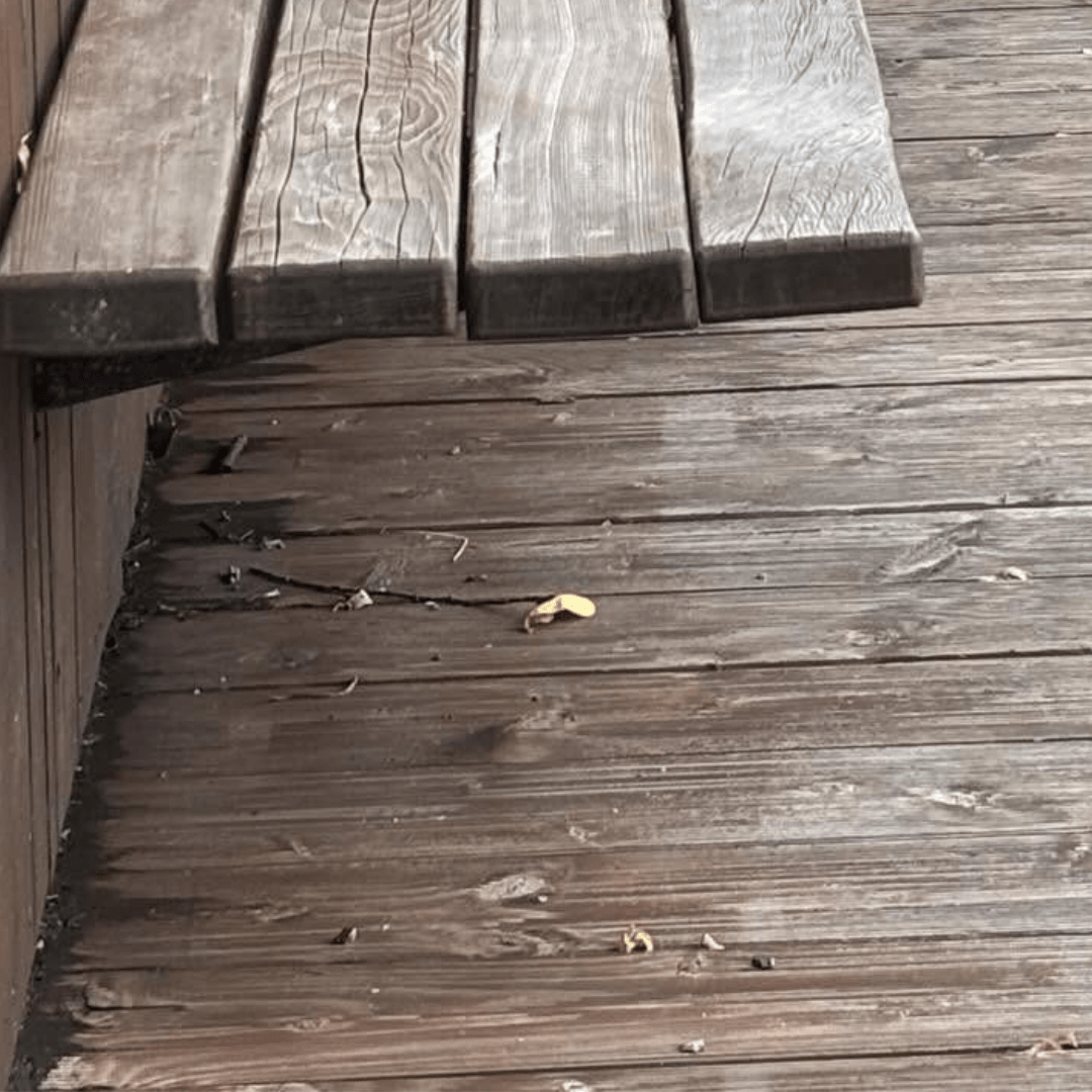 ひと休みしようとベンチを探す女性。しかし次の瞬間、“可愛すぎる先客”を見つけて……「デート中？」「おもちが2つー！！」