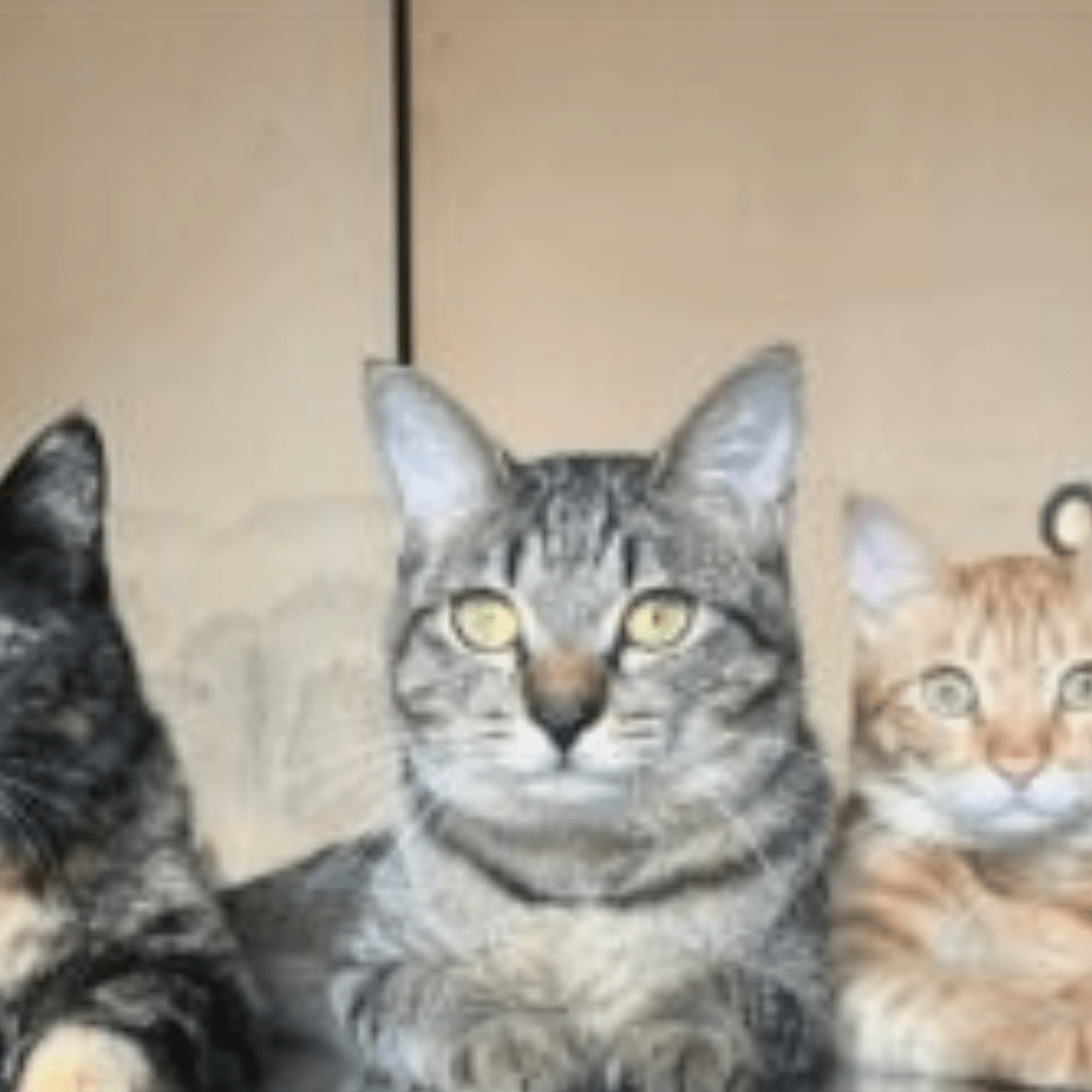 「にゃんと雅な」「フォーメーション完璧！」3匹並んだ可愛い猫ちゃんたち。しかしよく見ると、思わず二度見してしまう光景に…「絶景だ」