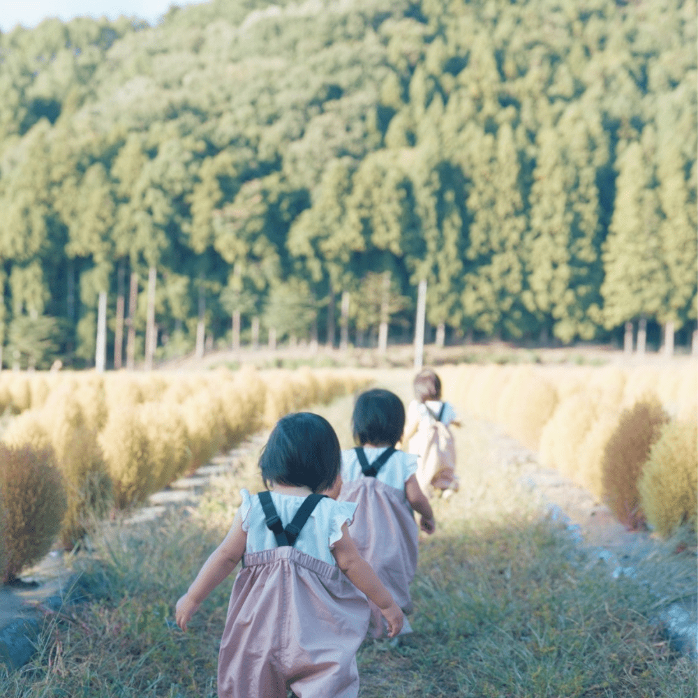 【実際の写真】現在の姿