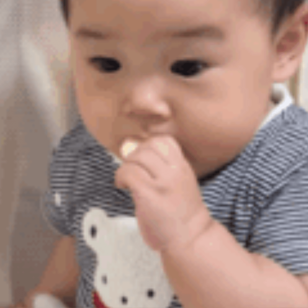 おせんべいを食べる0歳娘。しかし、隣をよく見ると…「え？え？」「これは宇宙一食べづらい」「表情がたまらんです」