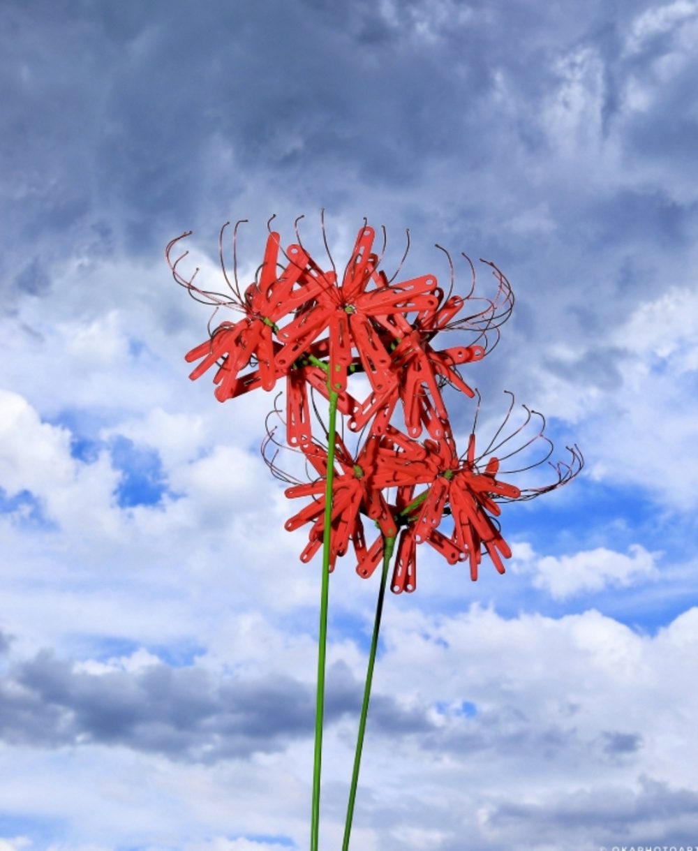 赤い彼岸花の写真　しかし、よく見ると…「えっ？」「コレは騙されたw」「本物かと思いました」