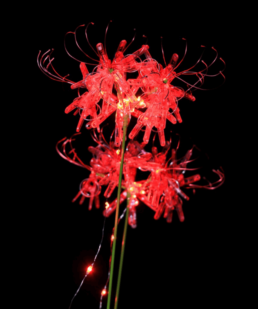 幻想的な彼岸花
（@okaphotoartさんより提供）