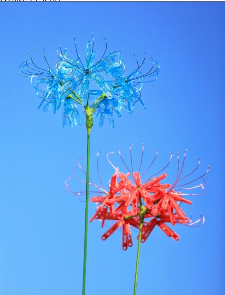 青と赤の彼岸花
（@okaphotoartさんより提供）