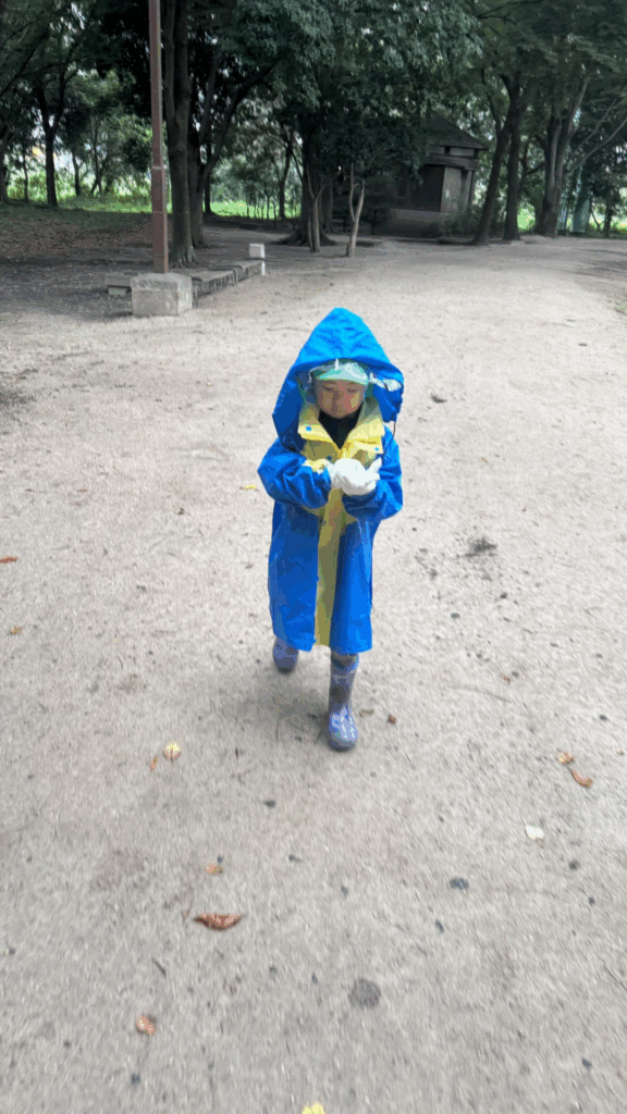 【実際の写真3枚】まさかの内容