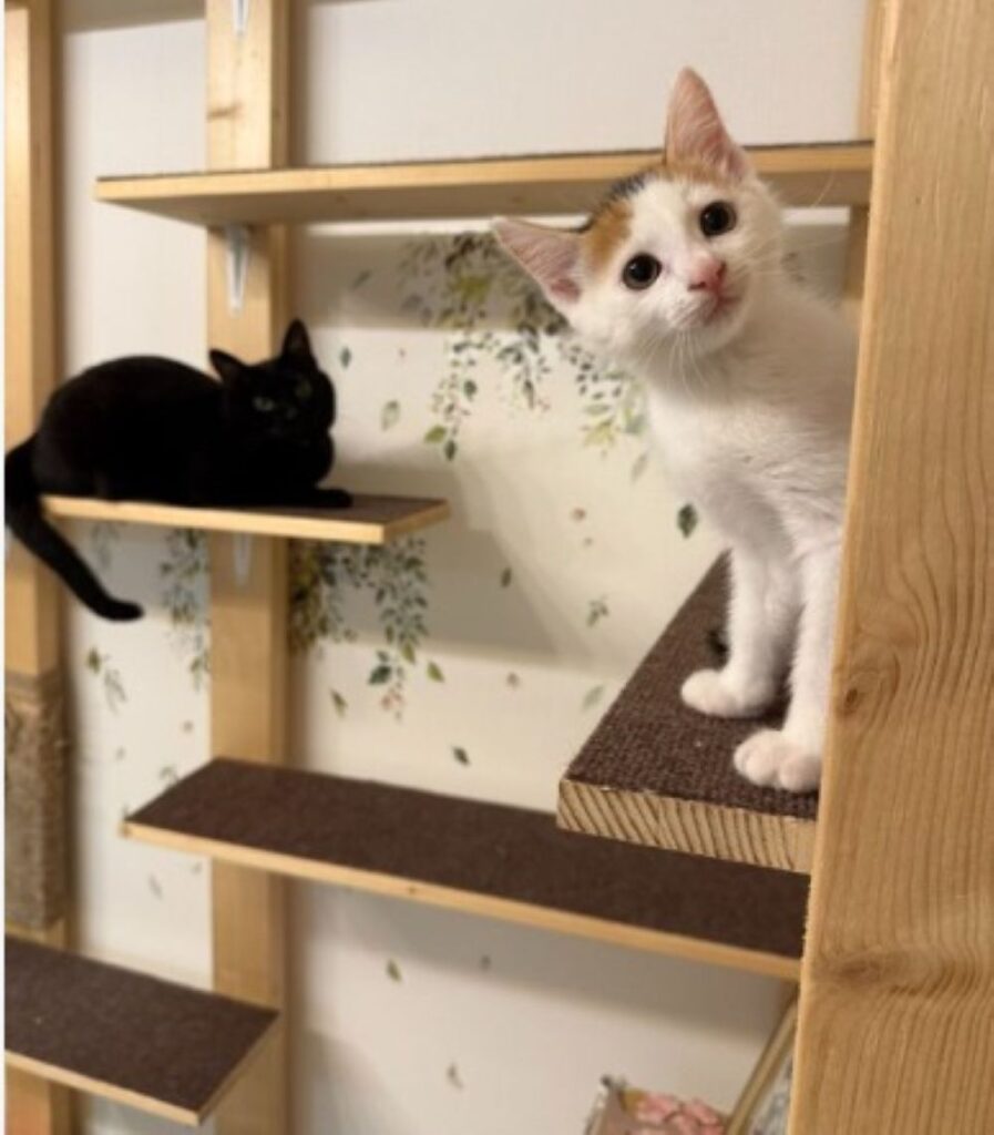 【実際の写真】現在の姿