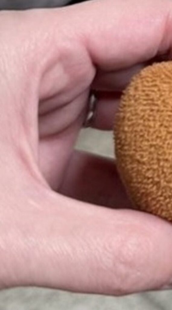 飼い主さんが間違えて会社に持ってきたものの正体は？（@omochi_pome16さんより提供）