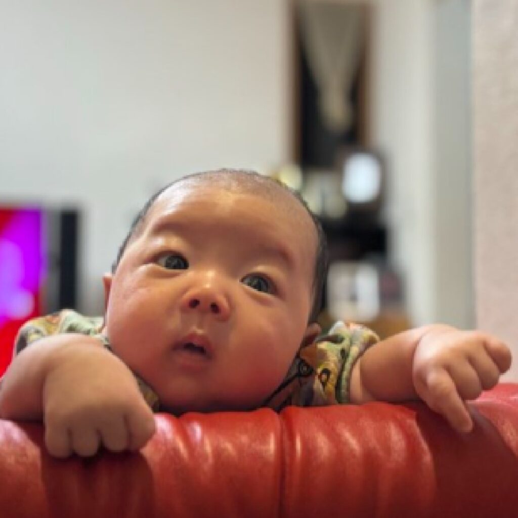 【実際の写真5枚】　ママが見た光景