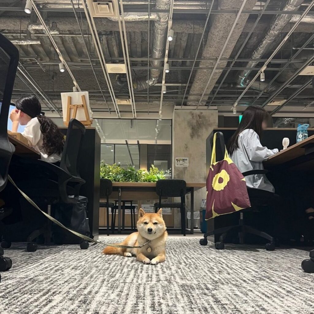 人間社員たちよ、さあお仕事の時間だ（@CoCoGourmet_dogさんより提供）