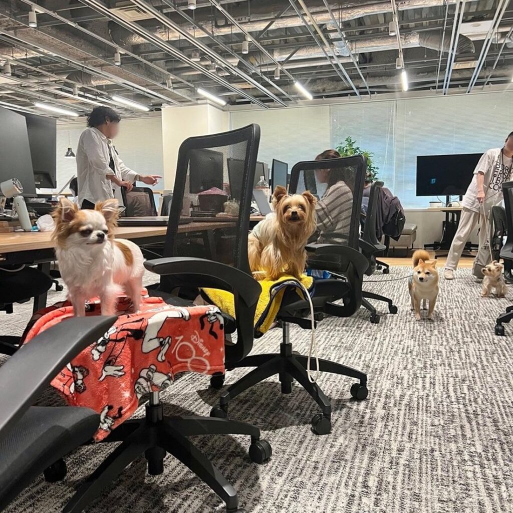人間と一緒に出勤している社員犬たち（@CoCoGourmet_dogさんより提供）