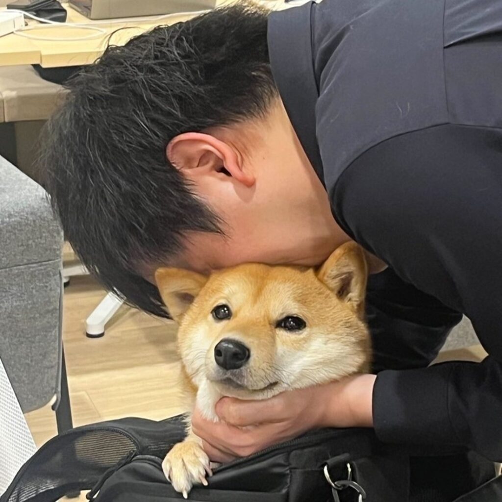 【実際の写真】違和感の正体