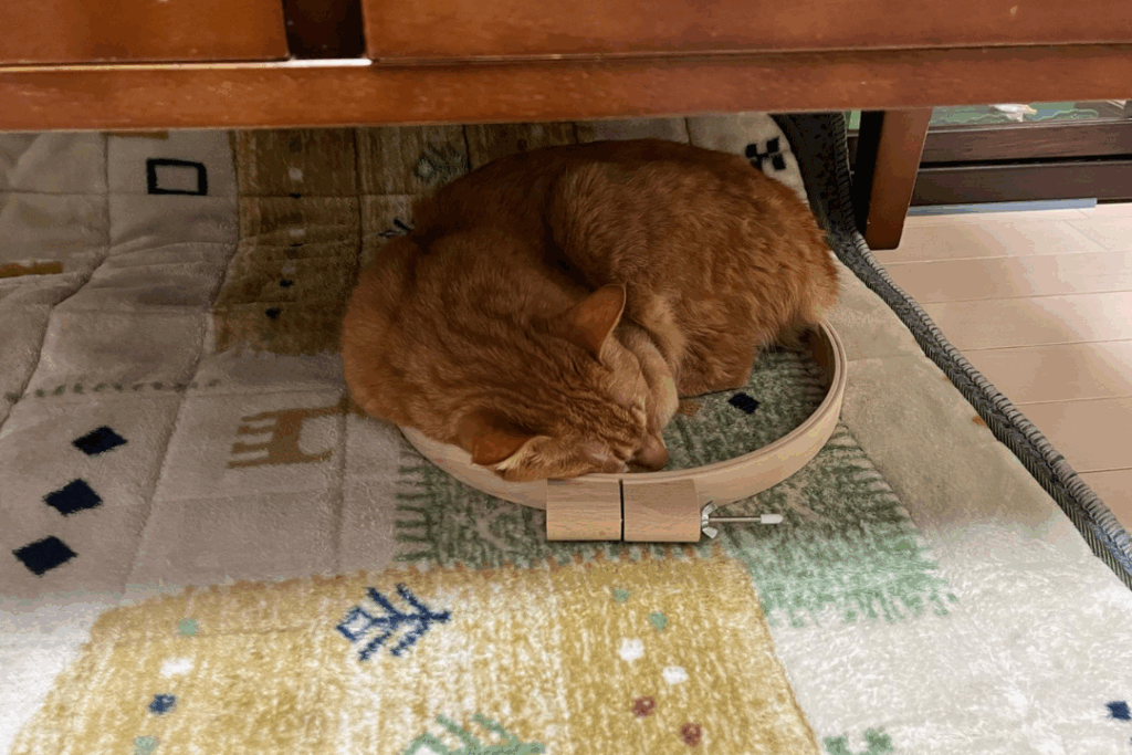 立体刺繍（＠momo_vanyanさんより提供）