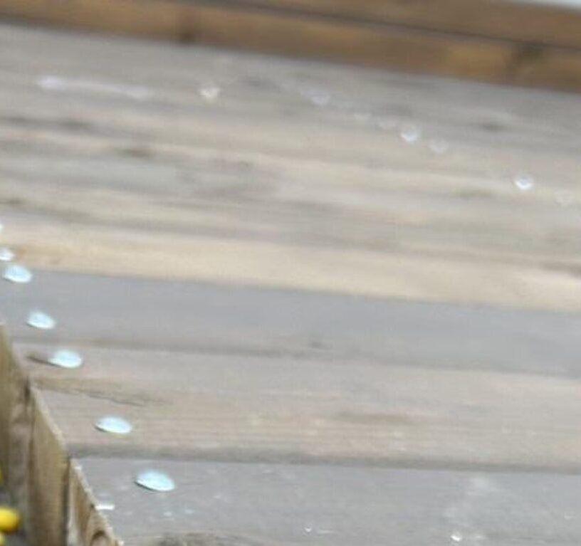 娘とベランダでおやつを食べていたママ。直後、目撃した”まさかの光景”に…「可愛すぎ」「笑ってしまった」