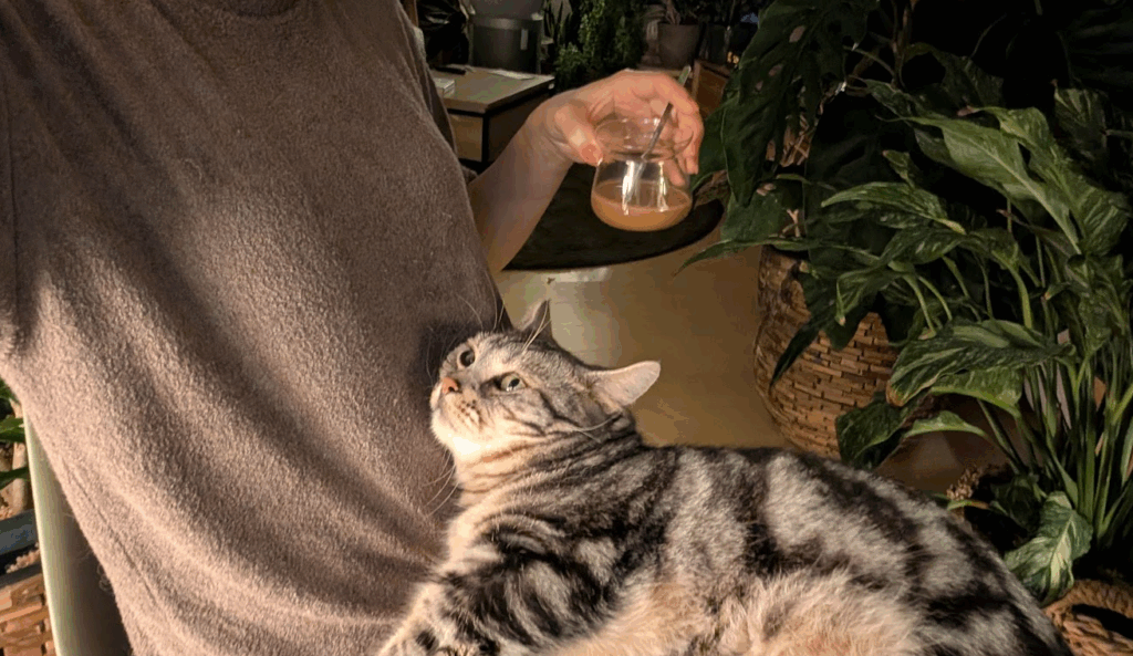 リラックス（@ayamame_plantsさんより提供）