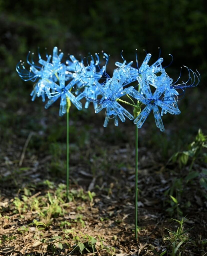 青い彼岸花
（@okaphotoartさんより提供）