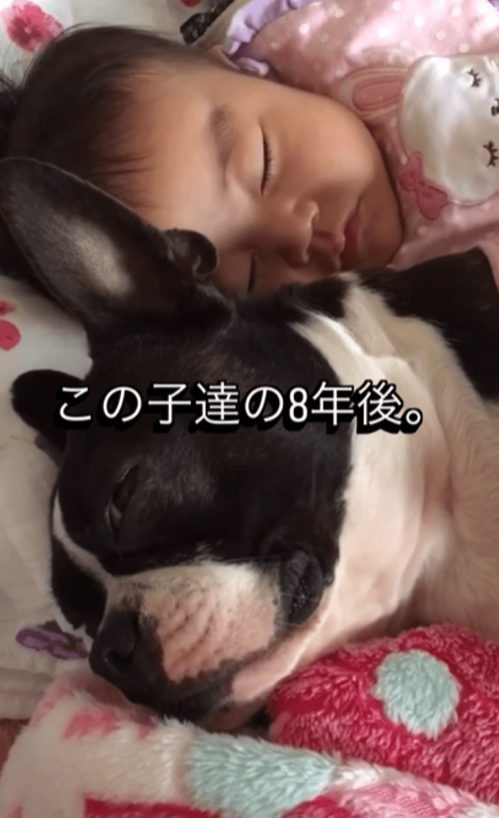 ベビーベッド 新生児 添い寝 スリーピングマット クリブ 折りたたみ式ベッド 取り外し可能 簡単収納 高さ, image size:1000x1639