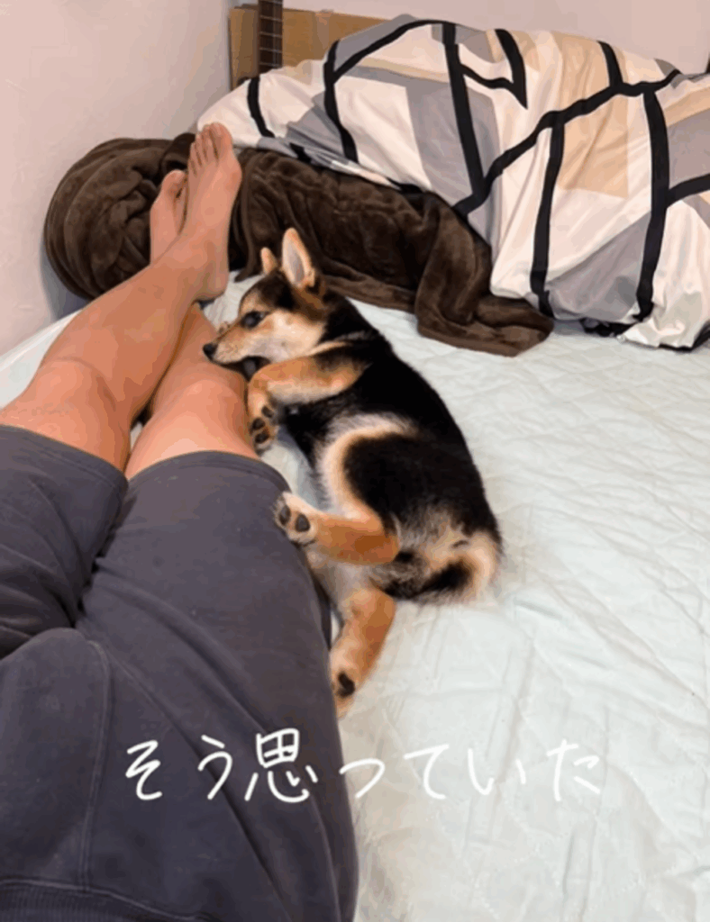 【実際の写真5枚】　1年半後の様子