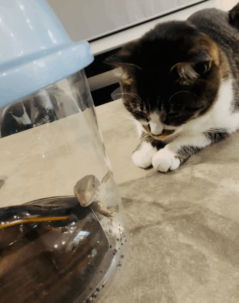 【実際の写真5枚】まさかの表情