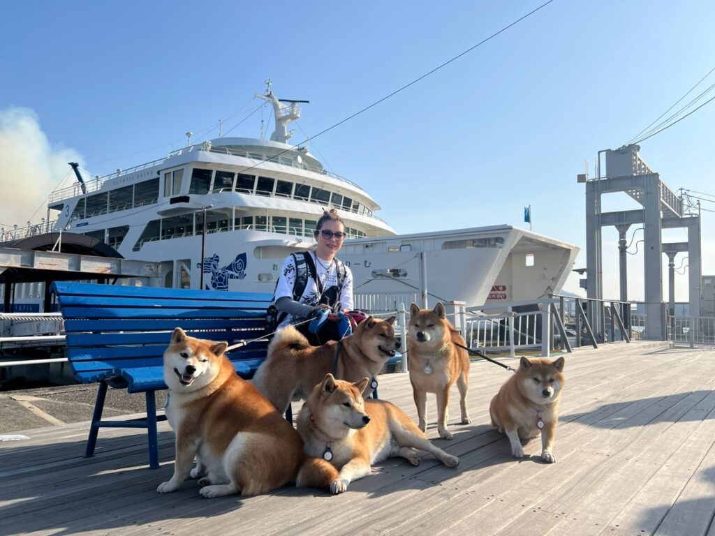 普段の様子③（＠5shiba_familyさんより提供）