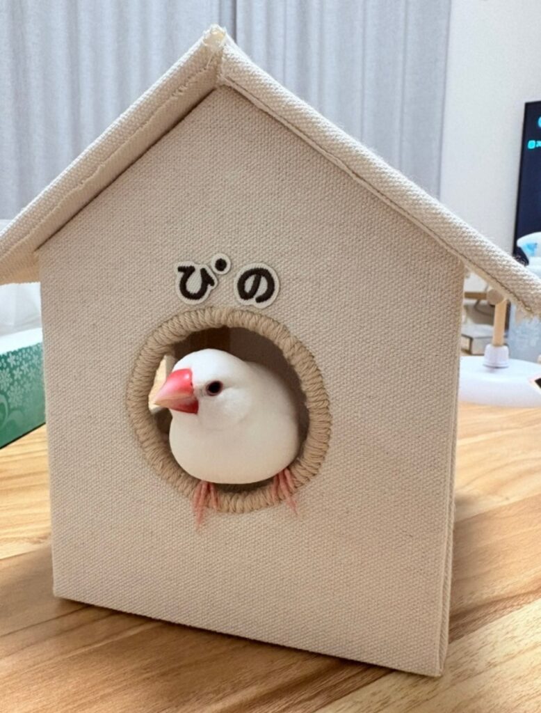 【実際の写真】手作りしたクリスマスツリー（全体）