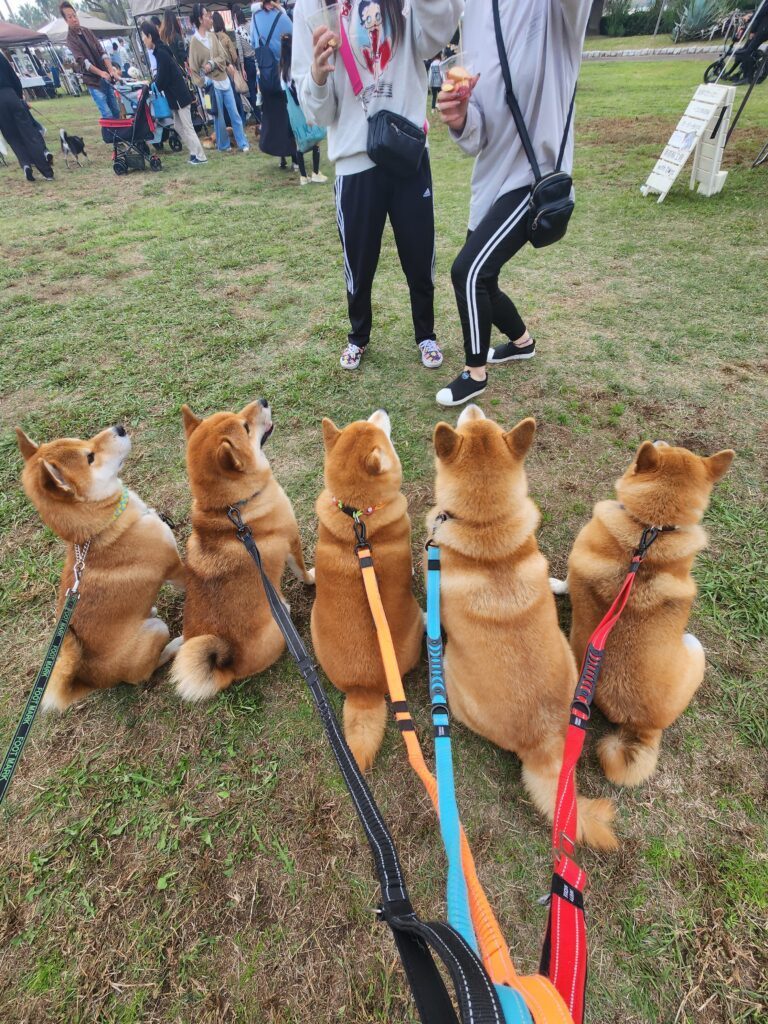 【実際の写真】雪山で遊ぶ様子