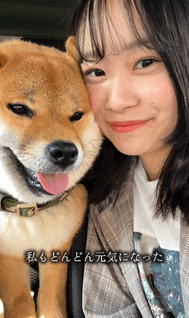 少しずつ元気に（＠kumamaru_shibaさんより提供）