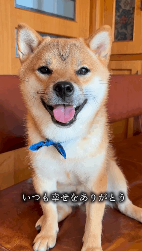 【実際の写真】現在の様子