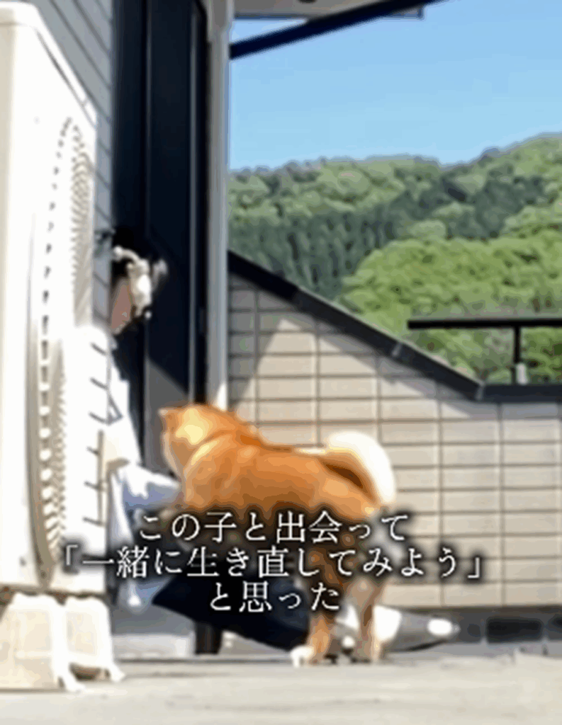 一緒に生きてみようと（＠kumamaru_shibaさんより提供）