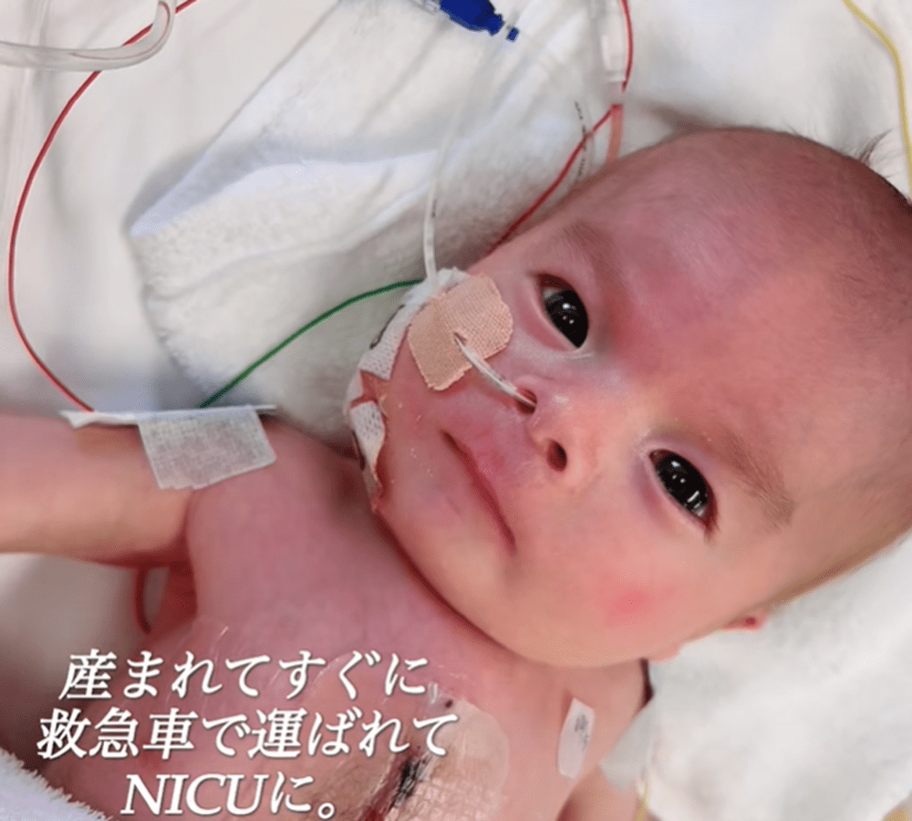 【実際の写真】現在の様子