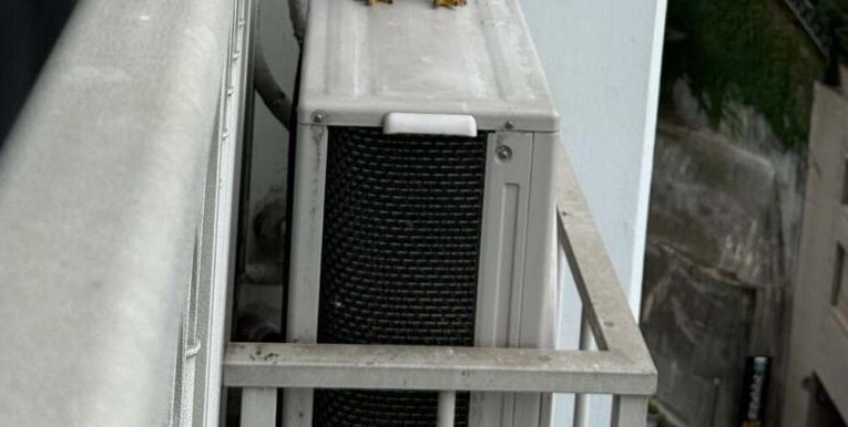 ハトのフンや羽根で困っていると…　　→効果的すぎた”まさかのモノ”に「これは使えるかも」「素晴らしい発想！」「セカンドキャリア」