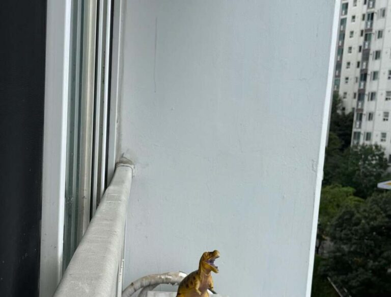 【実際の写真5枚】　まさかのモノ